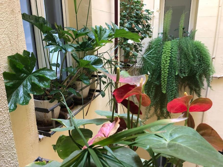 Apartamento Ribera De Curtidores 33, Rastro-puerta De Toledo